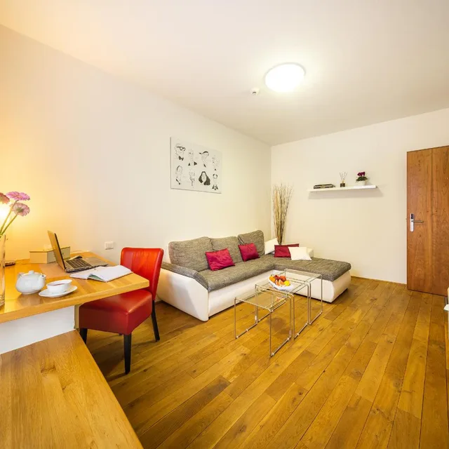 استوديو بسرير كينج مع أريكة، Bellevue Hotel Karlov 2/5