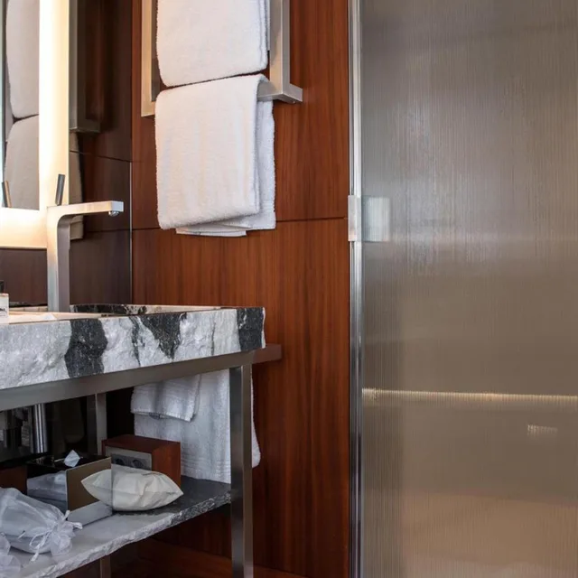 Room, King Bed, La Reserve Eden au Lac Zurich 8/8