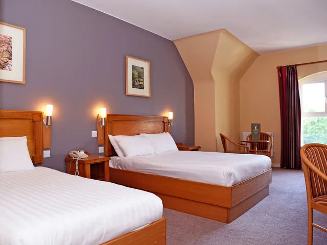 غرفة قياسية بسرير مزدوج، Shannon Springs Hotel 1/5