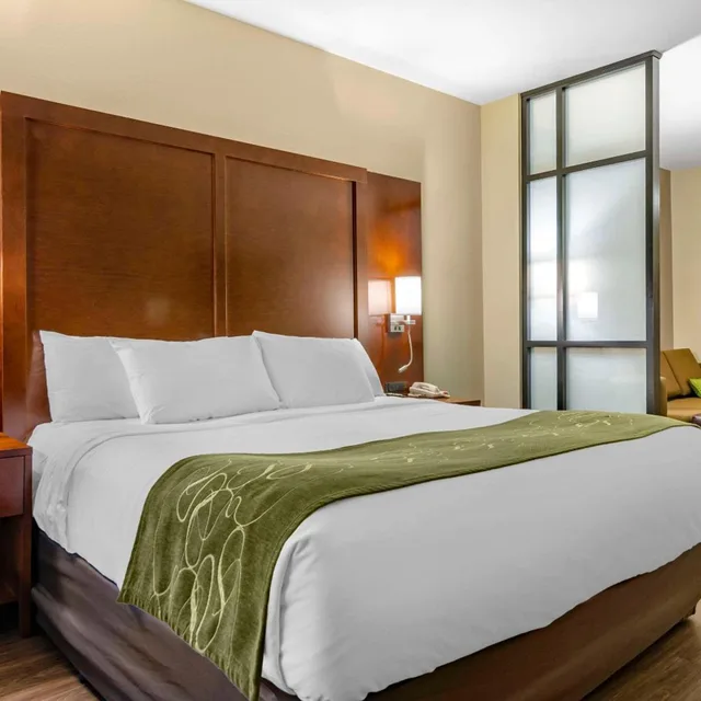 جناح بسرير كينج مع أريكة بحوض استحمام لذوي الإعاقة، Comfort Suites Helena Airport 1/6