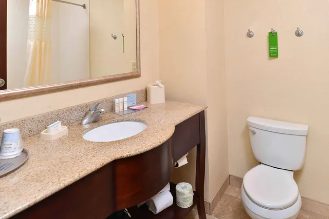 Studio, Suite, King Bed, Sofa, Hampton Inn and Suites Muncie 3/4