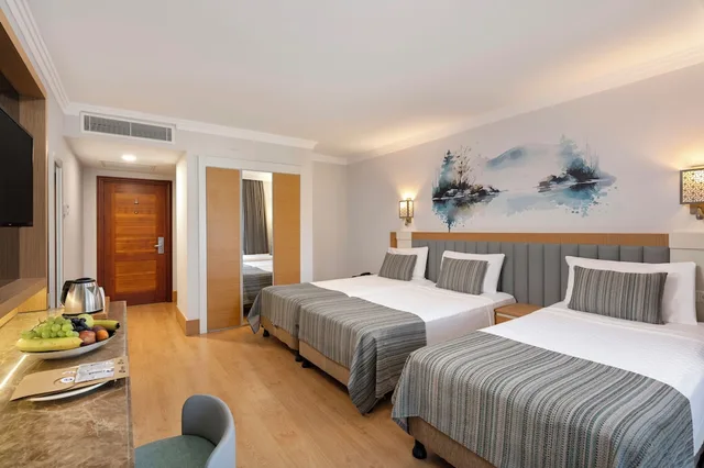 Standard, Single, Double or Twin Bed، Limak Limra Hotel & Resort 10/10