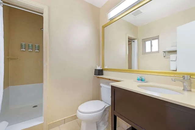 جناح بسرير كينج، Best Western Royal Palace Inn & Suites 3/3