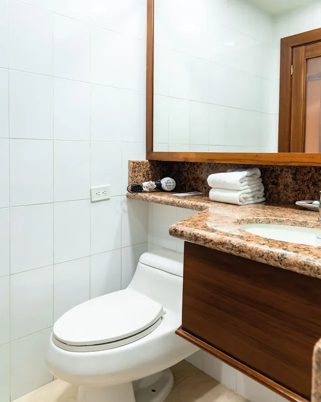 Executive, King Bed, Hotel Quito by Sercotel 7/9