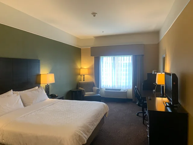 غرفة بسرير كينج لذوي الإعاقة، Holiday Inn Express Hotel And Suites Lansing Dimondale 1/3
