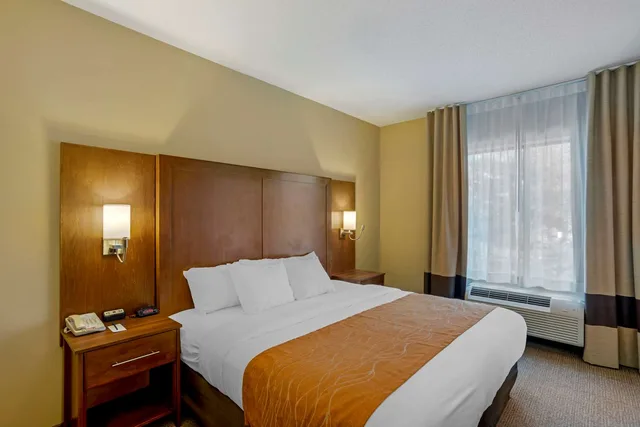 غرفة بسرير كينج، Comfort Inn & Suites Sayre, PA 3/7