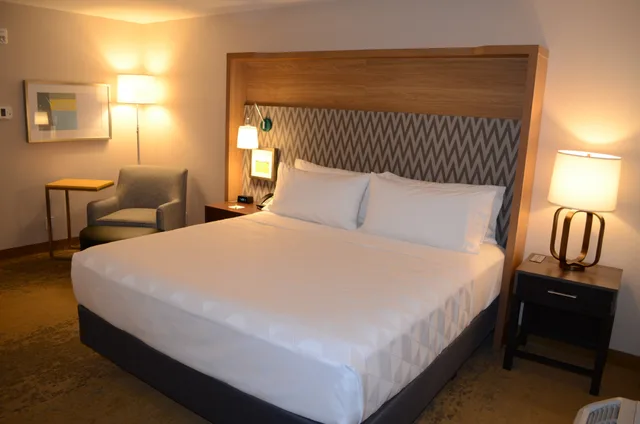 Leisure, King Bed، Holiday Inn Edmonton S Ellerslie Rd 4/8