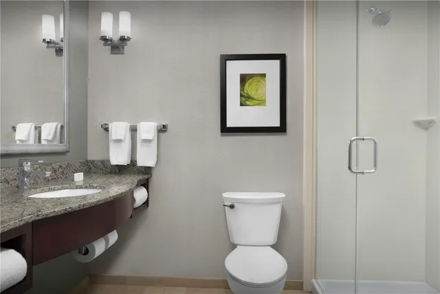 غرفة بسرير كينج بحوض استحمام لذوي الإعاقة، Hilton Garden Inn Gallup 1/3