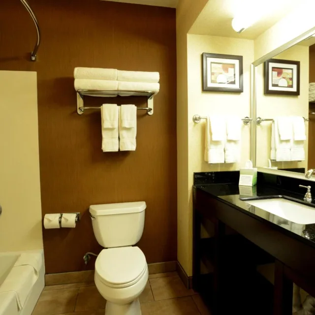 غرفة قياسية بسرير كينج لذوي الإعاقة، Comfort Suites Clovis - Fresno 8/8