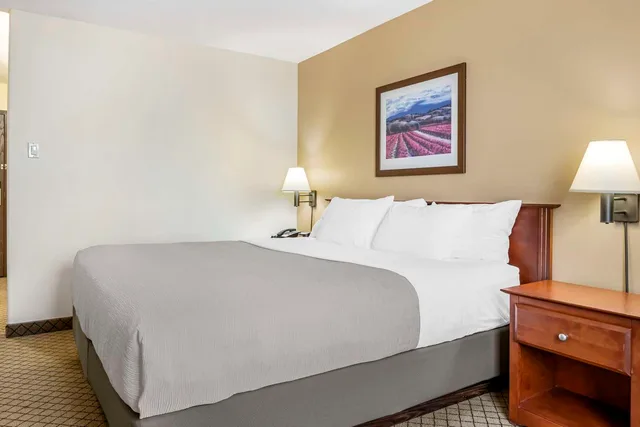 غرفة بسرير كينج، Quality Inn Airport Dieppe 5/6