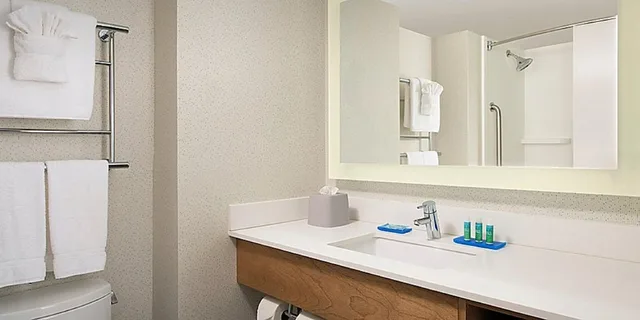 غرفة قياسية بسرير كينج بحوض استحمام لذوي الإعاقة، Holiday Inn Express Chesapeake Norfolk 2/5