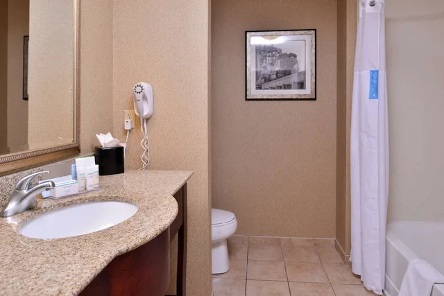 غرفة بسرير كينج مع أريكة، Hampton Inn Jackson, AL 4/4