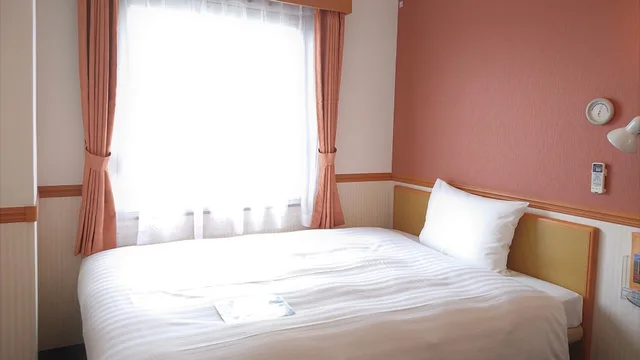 غرفة قياسية مفردة بسرير مزدوج للمدخنين، TOYOKO INN HANSHIN AMAGASAKI EKIMAE 1/3