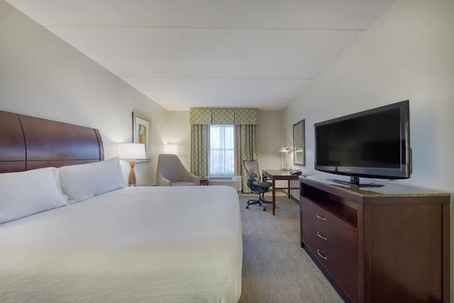 Evolution, King Bed، Hilton Garden Inn Durham Southpoint, NC 2/5