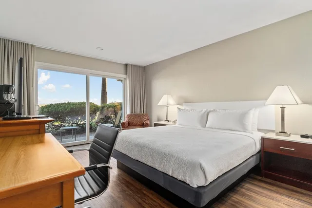 Room, King Bed, Bay View, Patio، Vagabond Inn Executive San Francisco Airport 7/8
