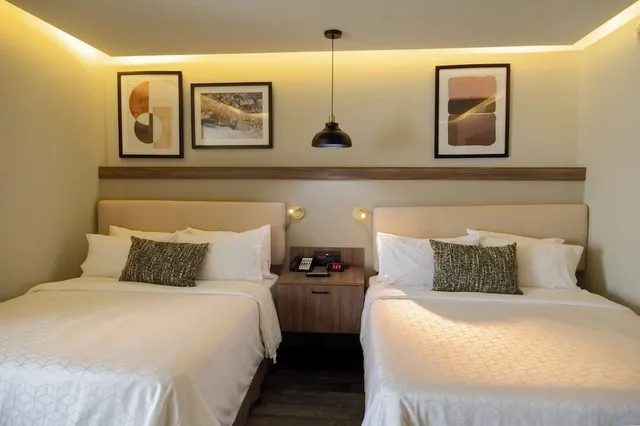 Standard, 2 Queen Beds, voco Hermosillo by IHG 3/10
