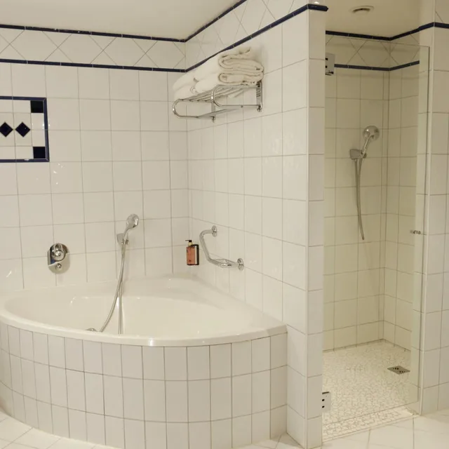 جناح فاخر، Vichy Celestins Spa Hotel 5/5