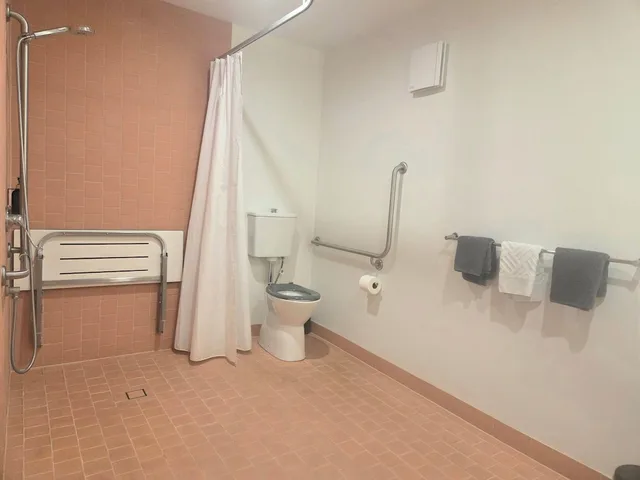Palm, Collection, 1 Queen and 1 Single Bed, Accessible, TOP SPOT MOTEL 4/4