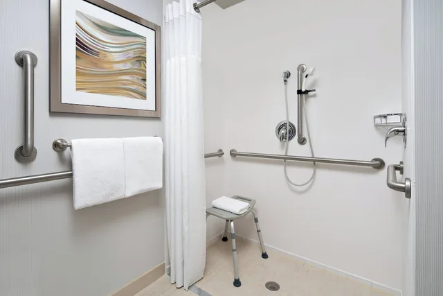 Room, King Bed, Balcony, Accessible, Courtyard Raleigh North/Triangle Town Center 3/3