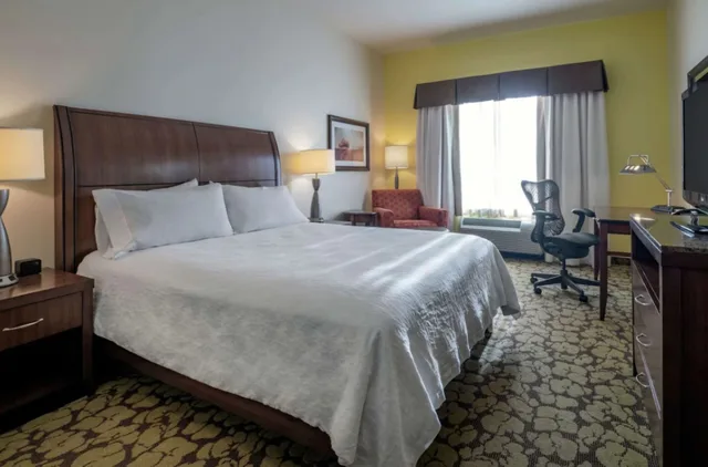 1 Bedroom, Deluxe, Suite, King Bed, Hilton Garden Inn Devens Common 2/7
