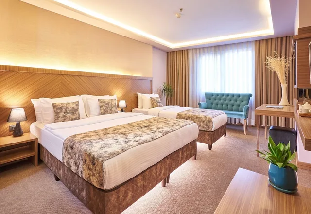 غرفة قياسية بسرير كوين، Atro Hotel 2/9