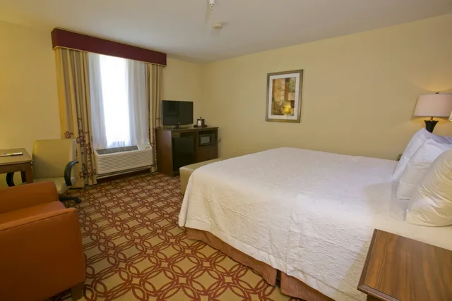 غرفة بسرير كينج لذوي الإعاقة، Hampton Inn And Suites Wiggins 1/3