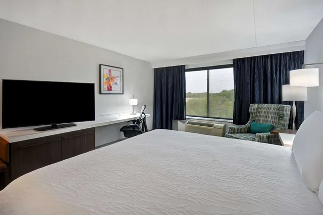 غرفة بريميوم بسرير كينج، Hilton Garden Inn Detroit Metro Airport 1/10