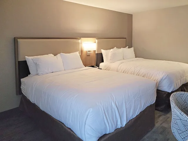 جناح بسريرين كوين مع أريكة، Comfort Inn & Suites Wyomissing/Reading 3/10