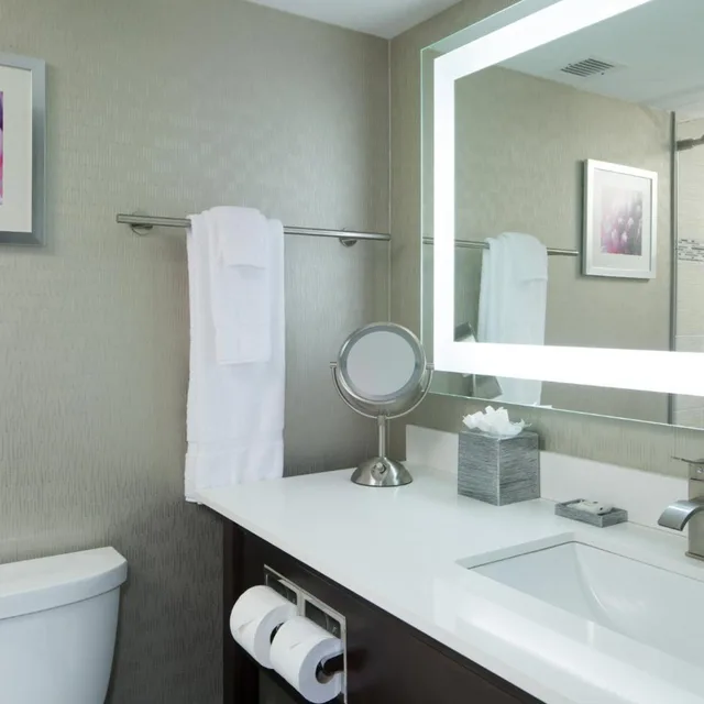 جناح جونيور بسرير كينج بحوض جاكوزي لذوي الإعاقة، Crowne Plaza Chicago Sw Burr Ridge 5/6