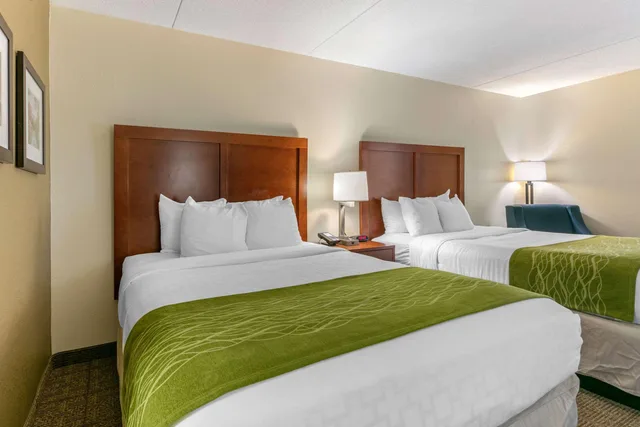 غرفة رباعية بسريرين كوين، Comfort Inn Chattanooga Downtown Southside 3/6