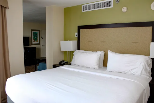 غرفة بسرير كينج، Holiday Inn Corpus Christi Downtown Marina 2/4