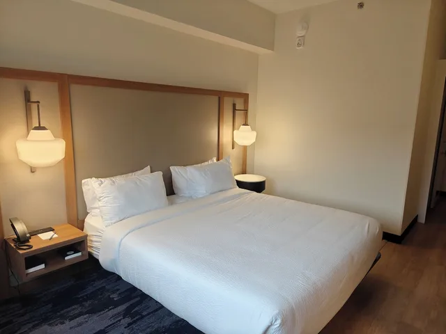 غرفة بسرير كينج لذوي الإعاقة، Comfort Inn Downtown Charleston 2/7