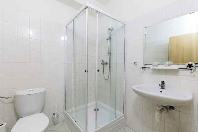 Room, Quintuple, 5 Beds، Stary Pivovar Hotel 7/7