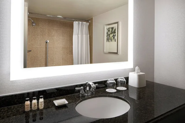 استوديو لذوي الإعاقة، Delta Hotels by Marriott Chesapeake Norfolk 7/8