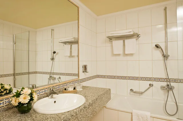 Standard, Double Bed, Ensana Grand Margaret Island 5/6