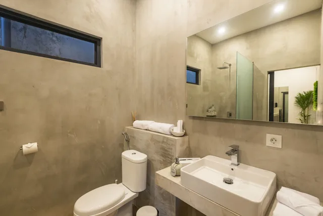 Deluxe, Studio, King Bed, Pool View, Canggu Dream Studios and Villas 6/6