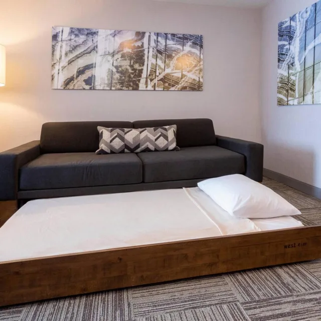 جناح بسرير كوين مع سرير سحّاب إضافي لذوي الإعاقة، SpringHill Suites by Marriott Minneapolis Maple Grove/Arbor Lakes 5/10