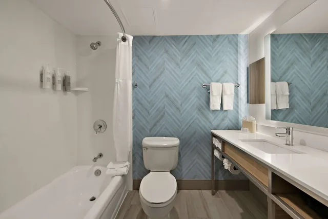 جناح ديلوكس بسرير كينج مع أريكة، Hilton Garden Inn Williamsburg 4/5