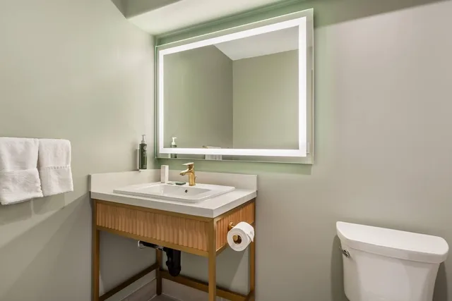 Upgrade, Efficiency, Studio, King Bed، Velora Hinton, an Ascend Hotel Collection 5/6