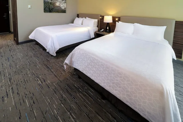 Standard, 2 Queen Beds, Extra Floor Space، Holiday Inn Express Suites Monterrey Valle 3/10