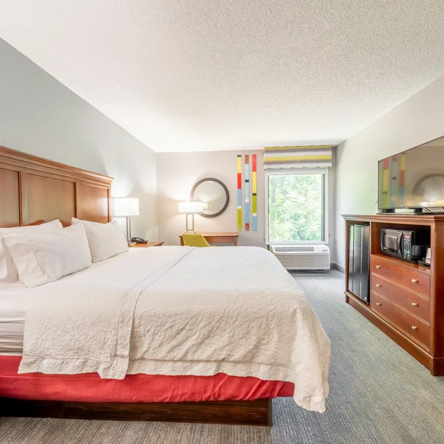 Room, King Bed, Hampton Inn Gainesville FL 3/8