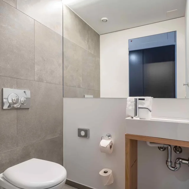 Room, King Bed, Attic، Set Hotel.Residence By Teufelhof Basel 4/4
