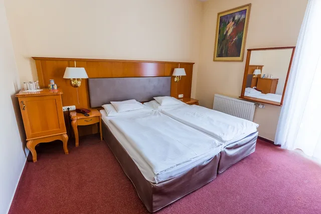 غرفة سوبيريور بسريرين منفصلين، Pannonia Hotel 1/6
