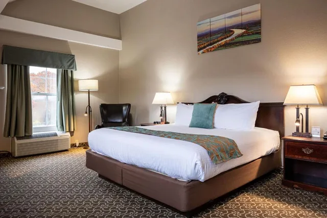 غرفة بسرير كينج، D. Hotel and Suites 4/7