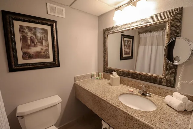 غرفة بسريرين مزدوجين بحوض استحمام لذوي الإعاقة، Wyndham Houston near NRG Park/Medical Center 3/3