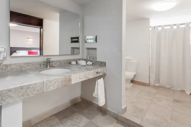 جناح فاخر بسريرين مزدوجين، Ramada Plaza by Wyndham Leon 5/5