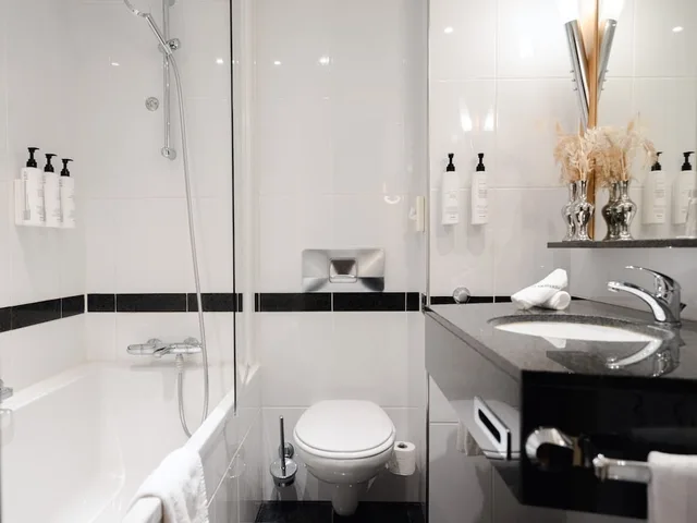 غرفة كلاسيكية بسرير كينج، Swissotel Amsterdam 3/4