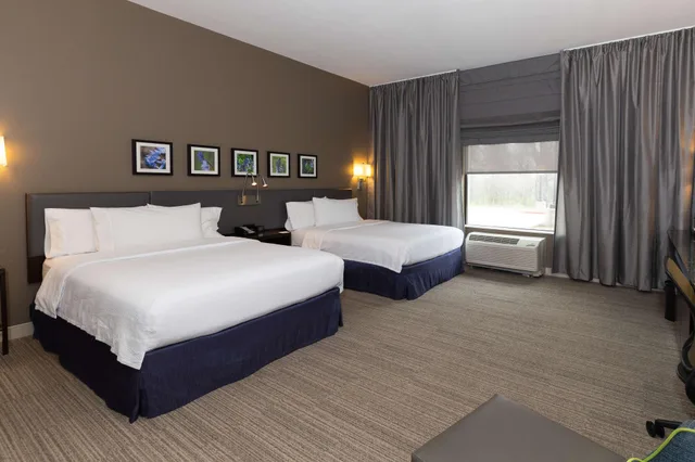 غرفة بسرير كوين لذوي الإعاقة، HILTON GARDEN INN AUSTIN AIRPORT 2/3