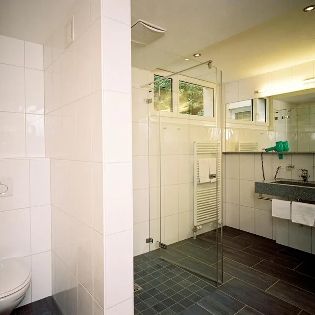 Pavilion, Modern, Junior Suite، Relais Du Silence Schloss Ragaz 6/6