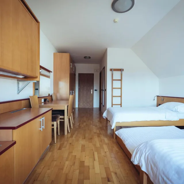 غرفة بسريرين منفصلين، HOTEL VIDEC 1/10